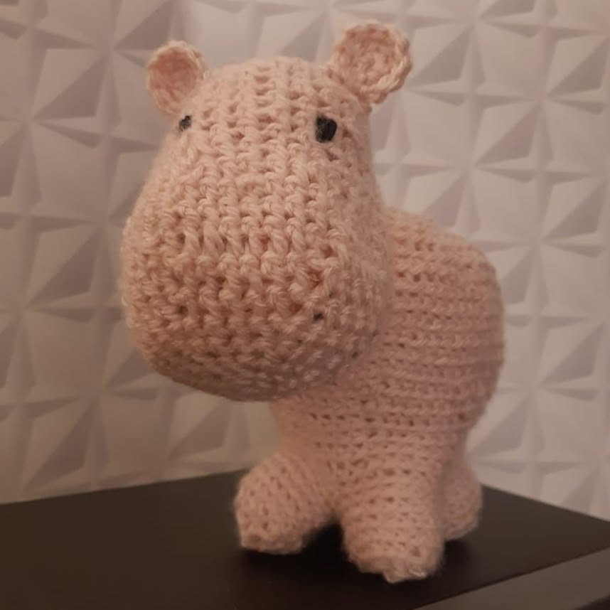 Shany l&rsquo;hippopotame